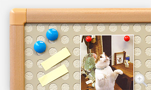 ����ԥ�Ǽ���